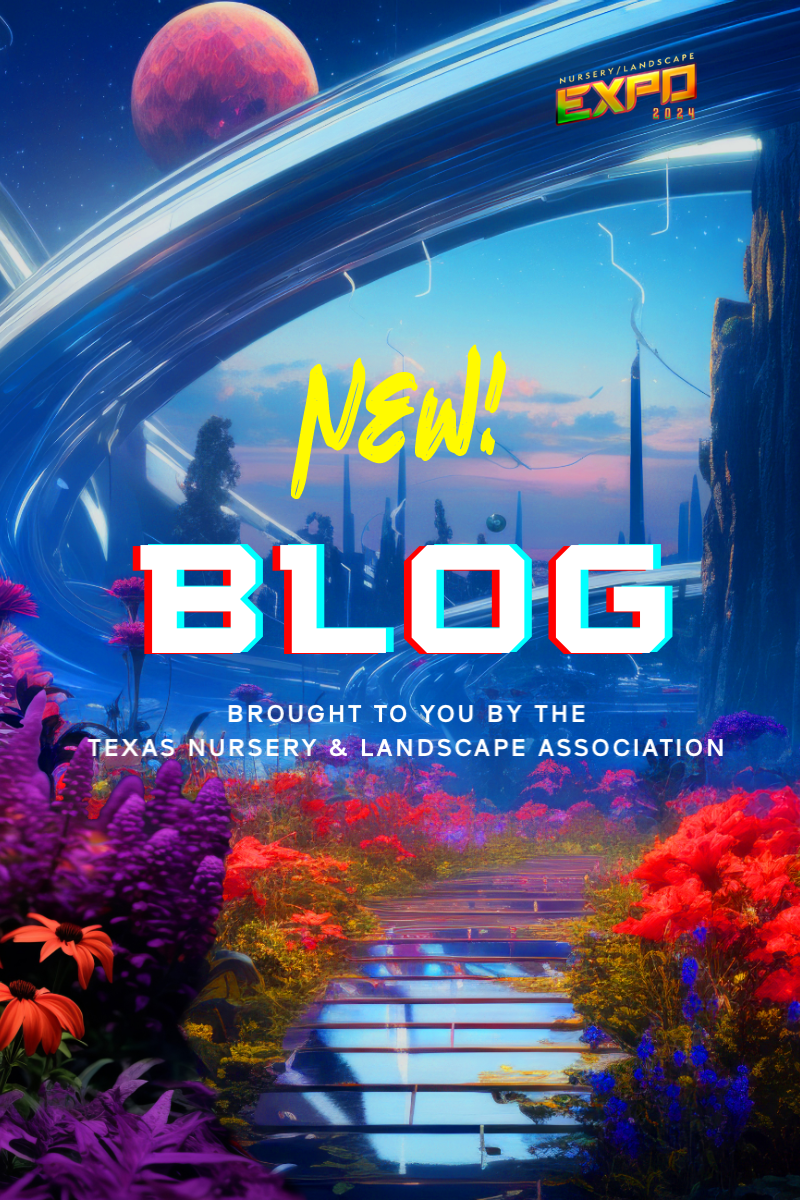 New Blog EXPO Blog Featured image