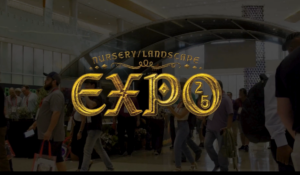 Attendees sharing ideas at Nursery Landscape EXPO 2025 in San Antonio