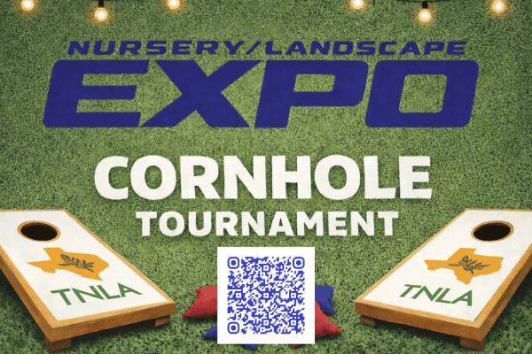 cornhole tournament image